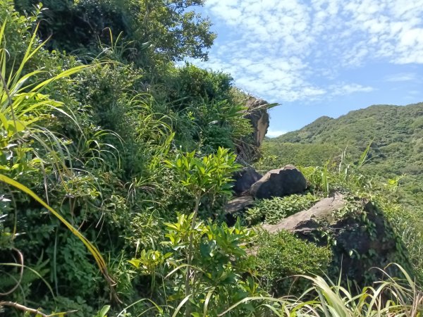 瑞芳區海園古道+鼻頭港稜+鼻頭山稜O型2872788