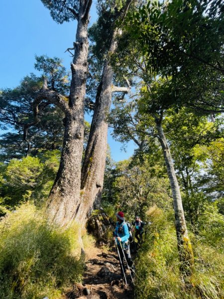 1140404二訪～塔關山2754057