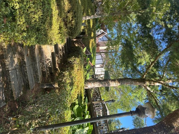 鵝公髻山/十八尖山/紅淡山/大尖山3120522