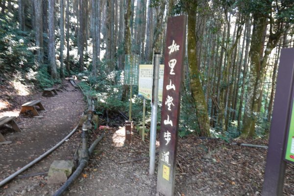 20211205 加里山(鹿場登山口)