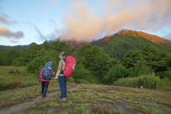大小劍-油婆蘭全紀錄2674194