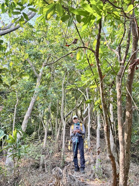 16年後重逢糖子恩山   2026.3.253026327