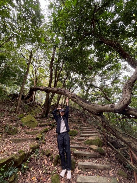 2025/3/16南觀音山2749043