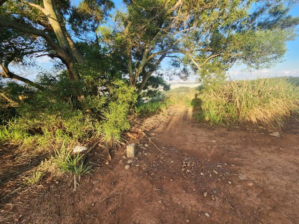 20250921學田山王田山大肚山大尖山竹坑山2928465