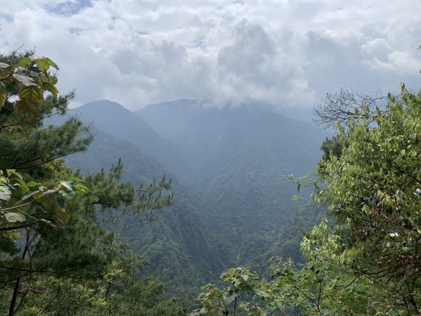 20260509南投小出山3055117