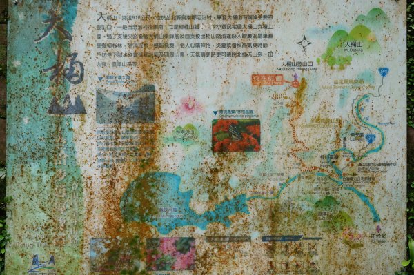 新北 烏來 大桶山、火燒樟山2728768