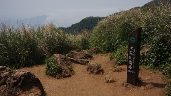 陽明山西段縱走 O形1916381