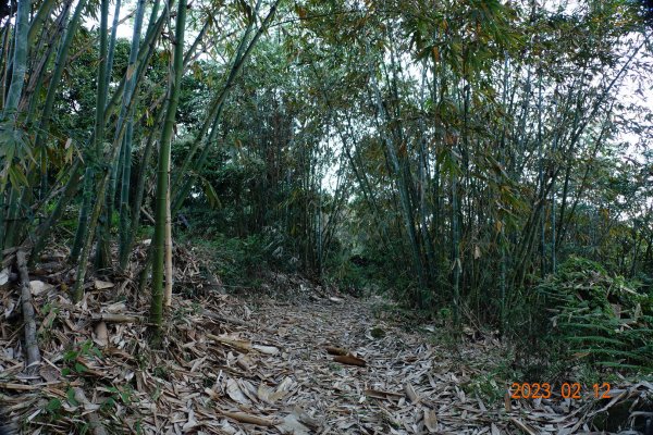 高雄 那瑪夏 頂河表湖山(河表湖山、霍比亞湖山)2032160