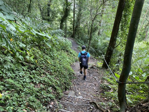 《探訪熊空秘境｜新北三峽雲森瀑布沁涼體驗》2878465