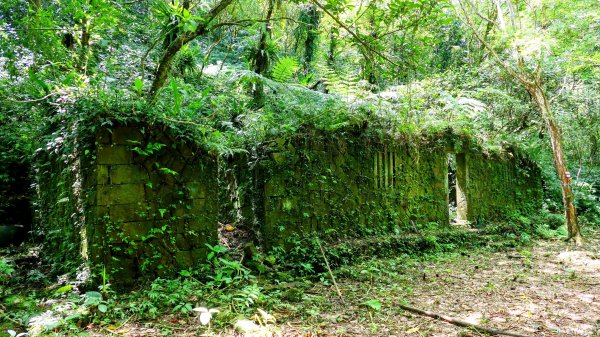 雙溪下坑古道2859476