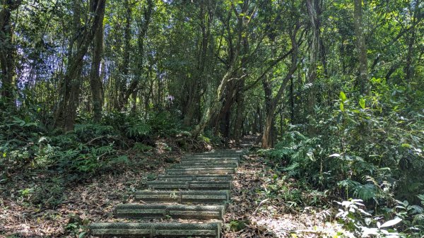 關刀山步道 (出關古道：聖關段)2532835