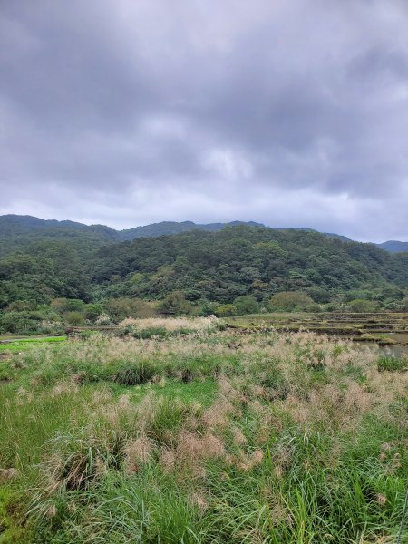 【福隆 | 草嶺古道】1172504