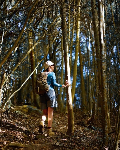 屋我尾山散步2669535