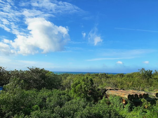 琅嶠卑南古道2700452