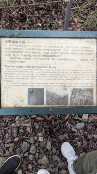 塔比多(tapido)步道2784618