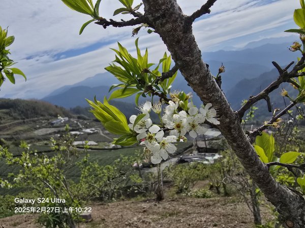 2025-02-27二延平步道2725420