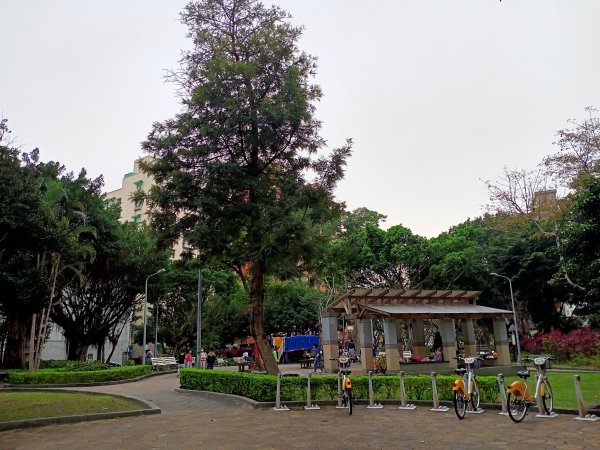 春暖花開的內湖文德三號公園、瑞陽公園、大港墘公園【齊心鞋力向前走】2025373