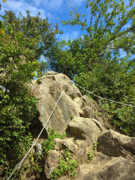 2024.12.21－旗尾山步道2677428