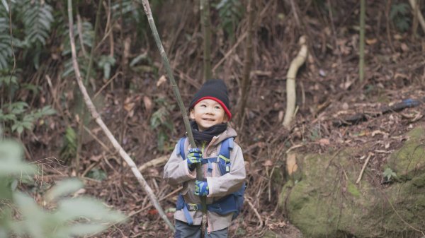 四歲小樂的第31座小百岳-關西石牛山1224490