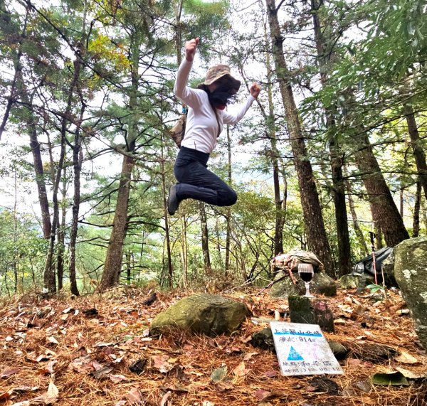 20251220上谷關山縱走四連峰2974347