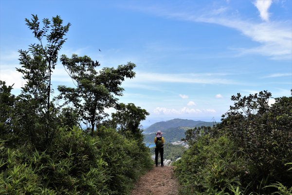 HK - 鷓鴣山1044401