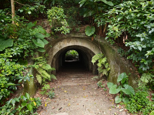 [淡蘭古道] 2026_0523 南路第一段_富陽自然生態步道3069290