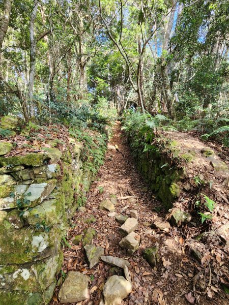 112/2/11芝生毛台山、屯野生炮台2148108