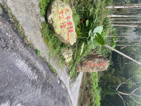 1111007雲嘉五連峰2652970