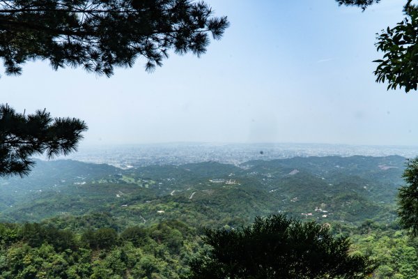 【大坑4號步道】系列中最美也是最硬的步道，全台唯一枕木搭建而成，攻頂頭嵙山2147944