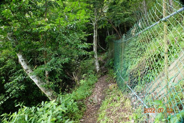 桃園 復興 夫婦山1751550