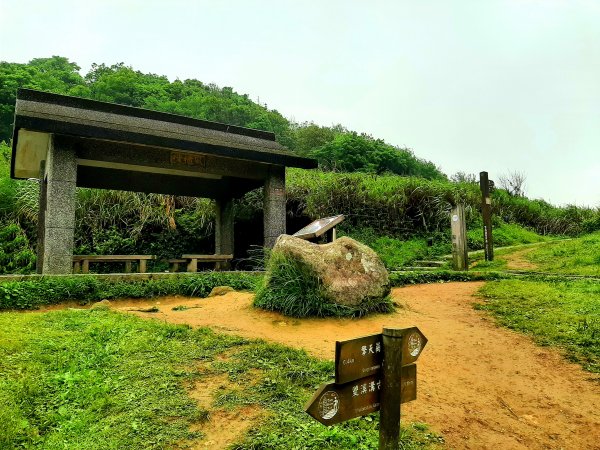 走遍陽明山：擎天崗系｜迷霧中的草原祕境、古道幽境2123776