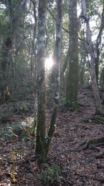 2020.03.08塔曼山874922