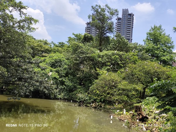 大安森林公園【走路趣尋寶】【臺北健走趣】2536147