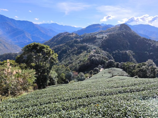 2025-12-21 武界山、獅凸魯山、橫屏山、橫屏山西峰2969743