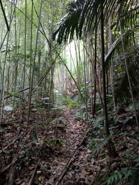 金童山、玉女山、汶水山連走1848031