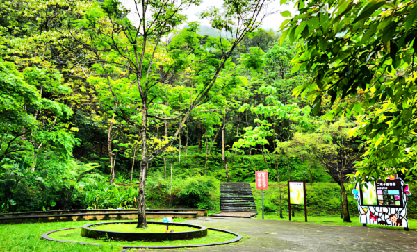 二叭子植物園，雙城公園，土城百年樟樹群步道