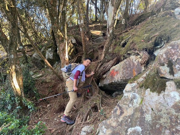 長壽山-醜崠山-鳶嘴山【既優雅又狂野的另類選擇】2673959