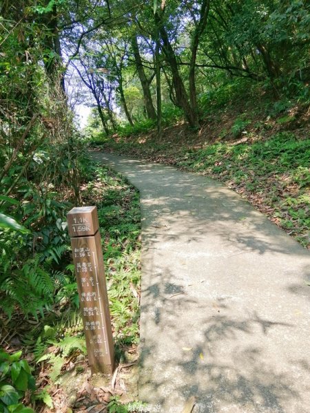 【基隆。仁愛】小百岳集起來。編號7小百岳~紅淡山步道1346378