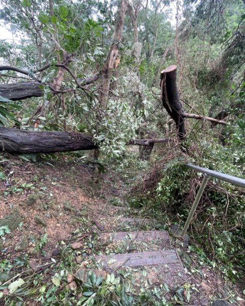 災後紅河谷越嶺小獅山仙跡岩觀音山路況2641453