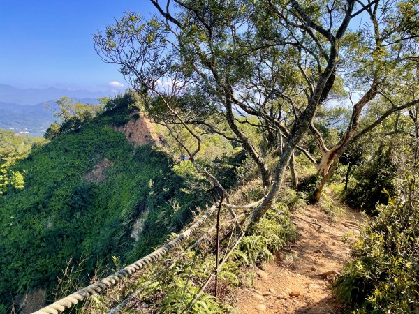 峽谷 · 稜線 · 綠影與光｜火炎山南北稜・慈濟茶園（火慈縱走）