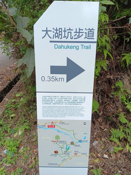 微笑山線大棟山系百年大榕樹段+大湖坑步道2981036
