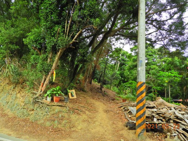 桃園 大溪 烏塗窟山、娘子坑山1405180