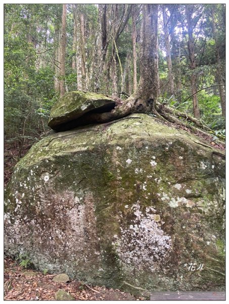 苗栗/加里山(小百岳)2501114