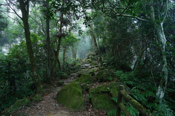 新竹 橫山 大山背山2360491