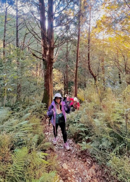 走入魔幻森林 探訪三星池與妹池2950191