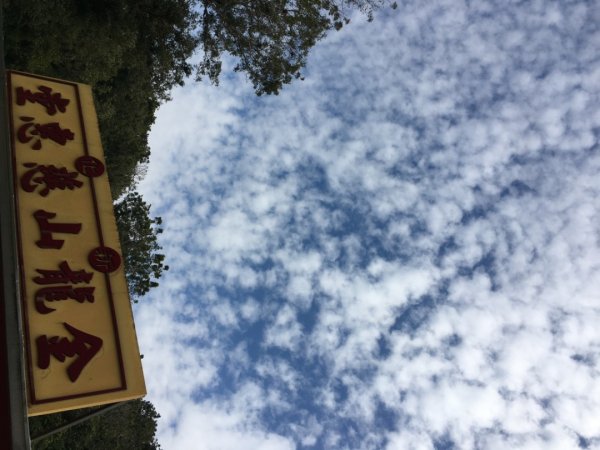 中興林場後山（鑰匙🔑認領2700415