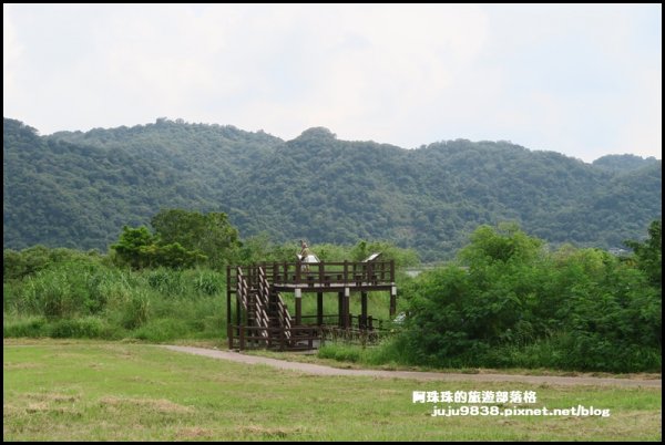 大溪左岸自行車道｜中新里韭菜花海超浪漫｜1101570