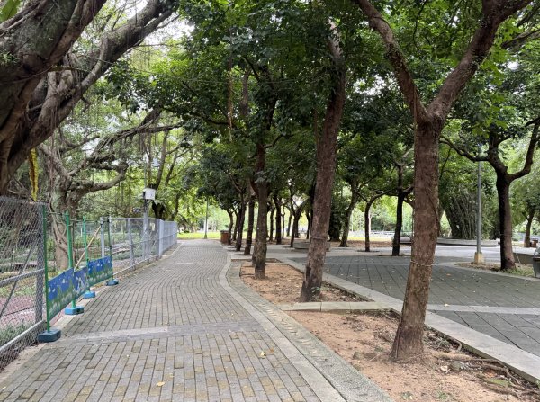 [2026臺北健走趣-14/50] 2026_0823_木柵公園3122243