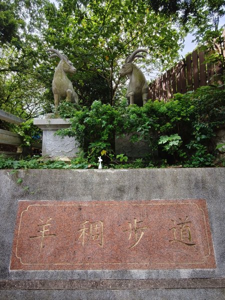 2025/08/03_羊稠森林步道2850668