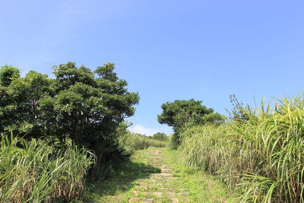 瑞芳南子吝登山步道204879